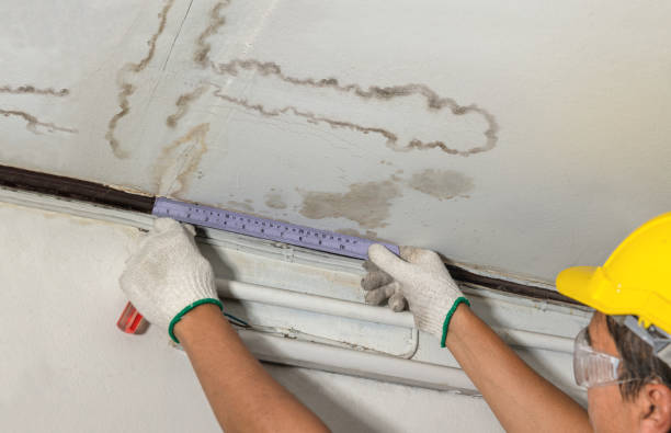 Reliable Mold Remediation contractor in Crossville, TN by Water Damage Irwin